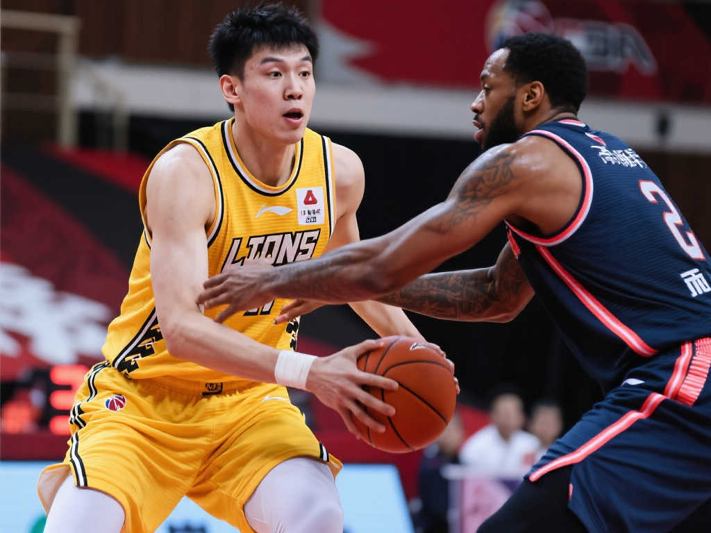 的长期战略 的长期战略